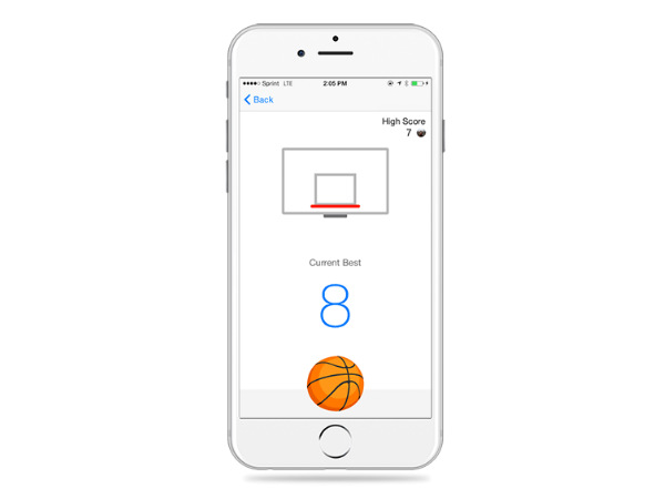 Hidden Basketball Game