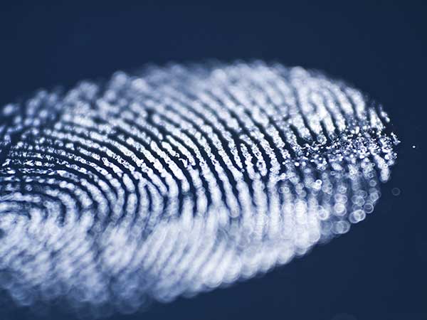 6 Functions of a Fingerprint Scanner in your Smartphone