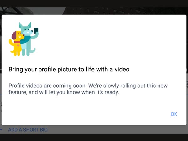 How to Add GIF Facebook Profile Pic  [3 Quick Steps]