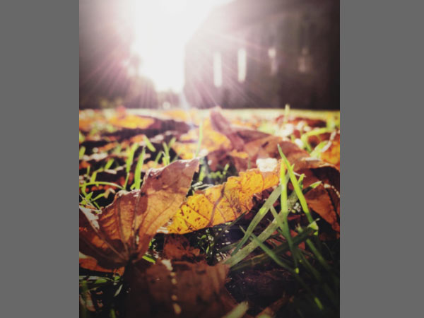 10 Tips to take best Photos for Instagram Feed