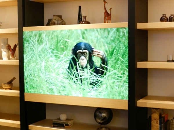 Panasonic develops 'invisible' TV that looks like a glass