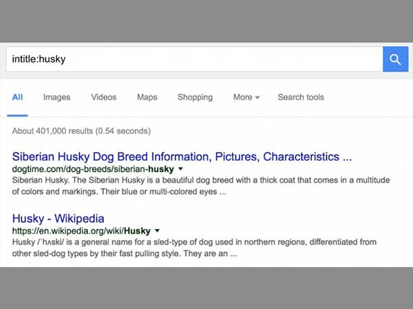 Searching for a Title or URL