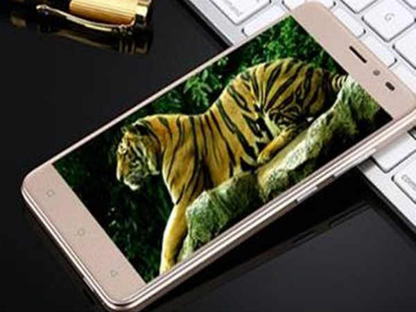 Step 2: Search for the Buy Button!