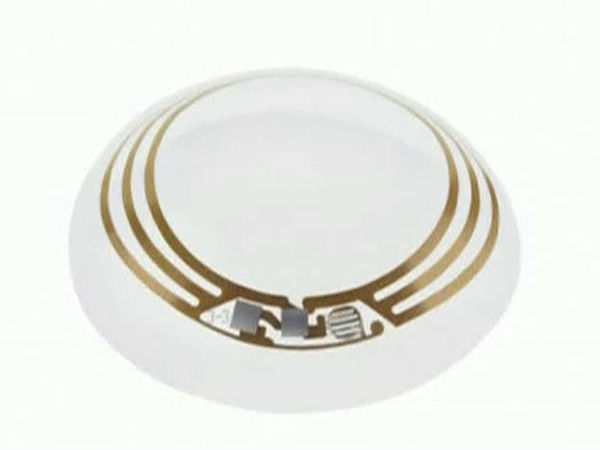 Expect a working prototype in 2018