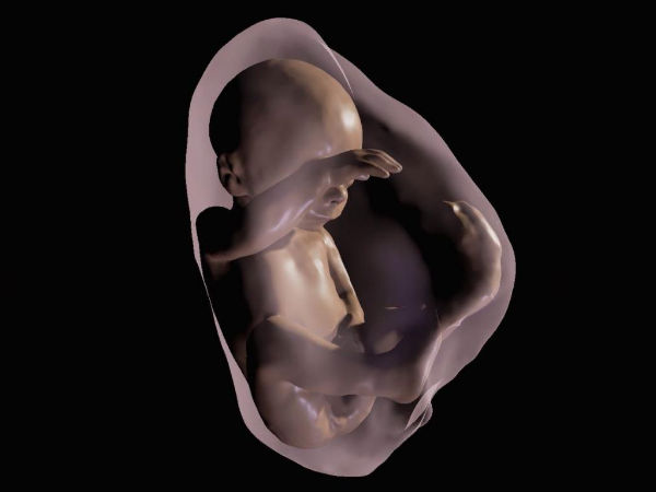 Now parents can see their unborn babies in 3D VR models Now parents can see their unborn babies in 3D VR models