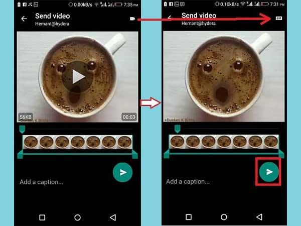 After Android, iPhone Users Can Now Create and Share GIF on WhatsApp After Android, iPhone Users Can Now Create and Share GIF on WhatsApp