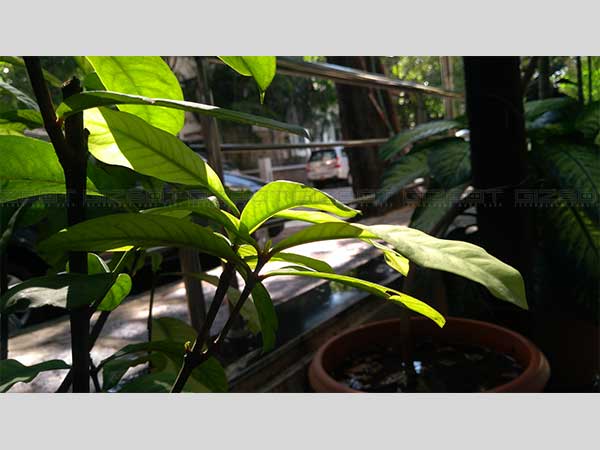 Lenovo K6 Power Review: A Decent Alternative to the Xiaomi Redmi 3s