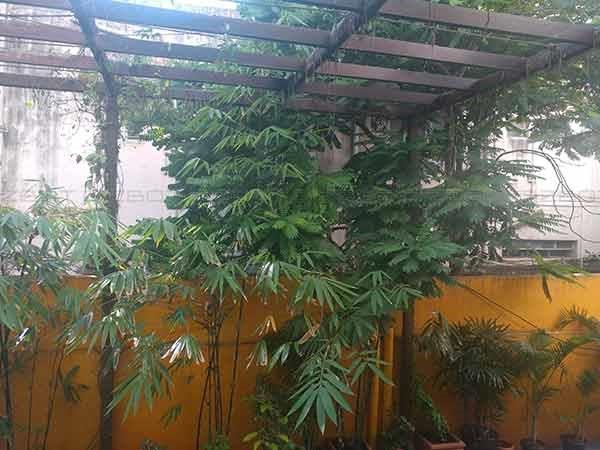 LG V20 Review: The Most Underrated Smartphone of 2016!