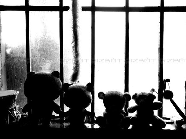 Honor 6X First Impressions