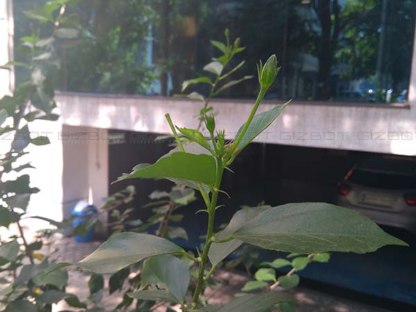 Lenovo P2 Review: The long lasting warrior