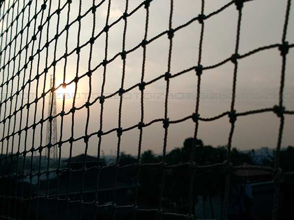 Asus ZenFone 3 Laser Camera Review