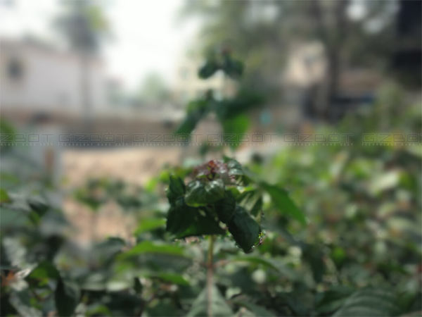 Lenovo Phab 2 Plus Review: a worthy competitor to the Xiaomi Mi Max