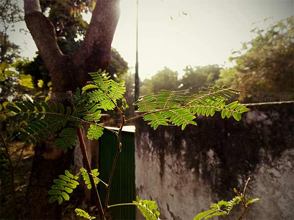 ZTE Blade A2 Plus Review ZTE Blade A2 Plus Review