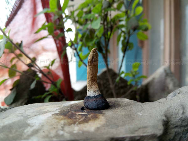 Gionee A1 review: It lasts long and captures good selfies