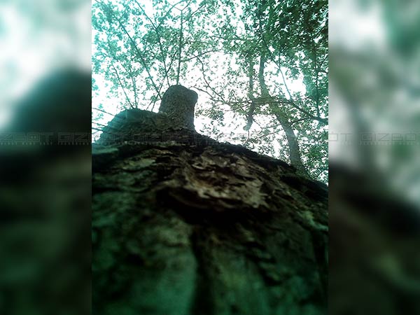 iVoomi iV 505 review: A budget smartphone with 3000mAh battery