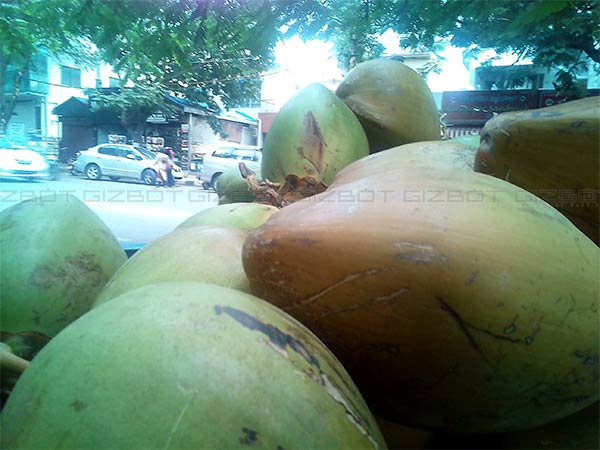 iVoomi iV 505 review: A budget smartphone with 3000mAh battery