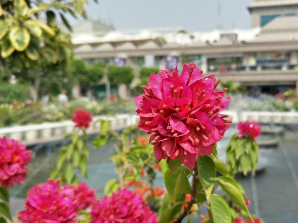 OPPO F3 Plus is set to redefine the selfie experience