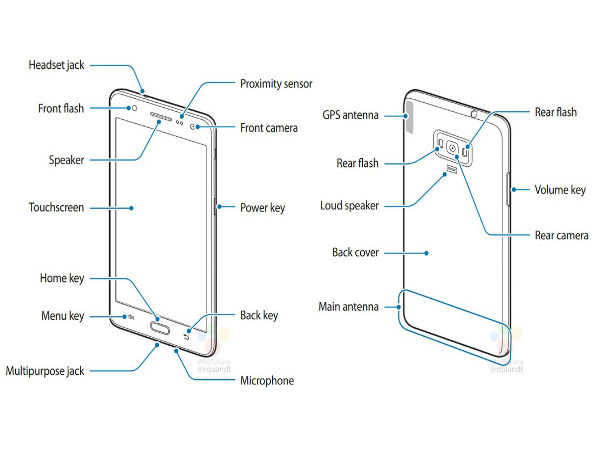 What does the images reveal?