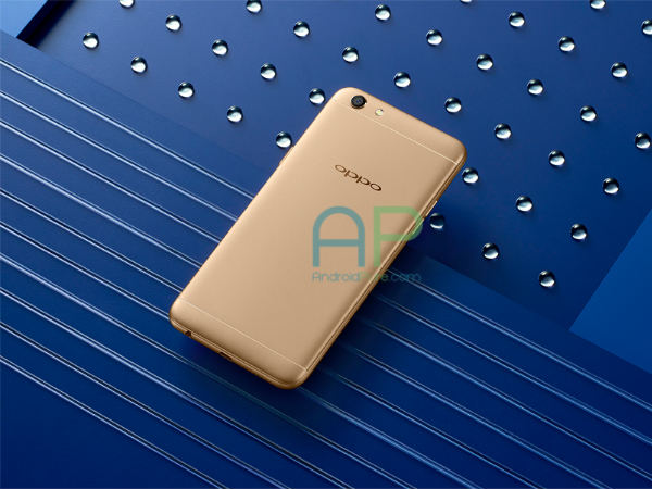 Processor and Storage