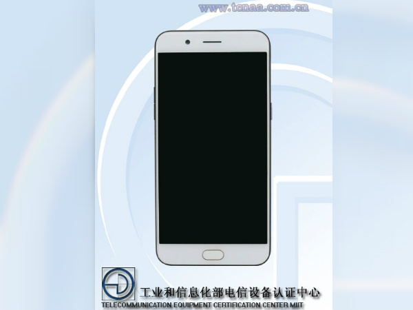 Display and Processor