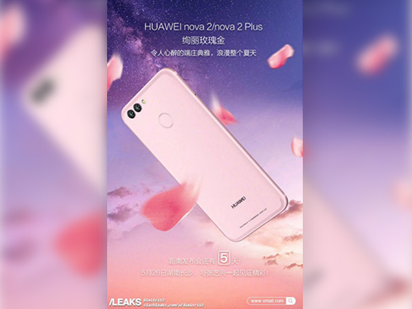 Rear dual cameras