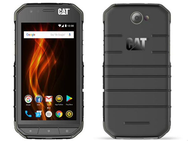 CAT S31