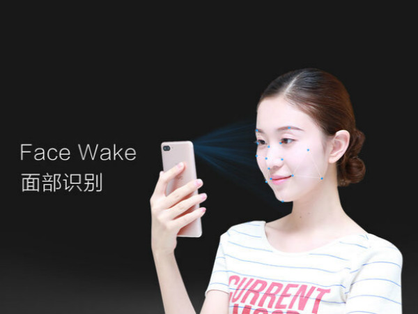 Price and availability 