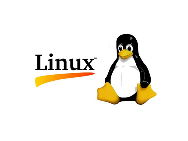 Linux 