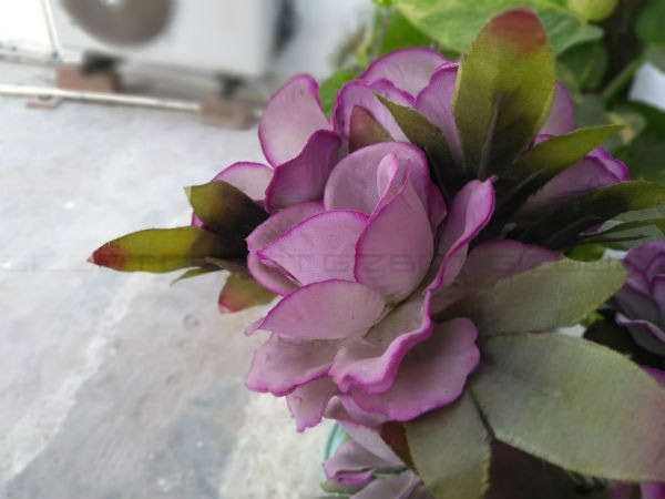 Detailed and bright images in Daylight