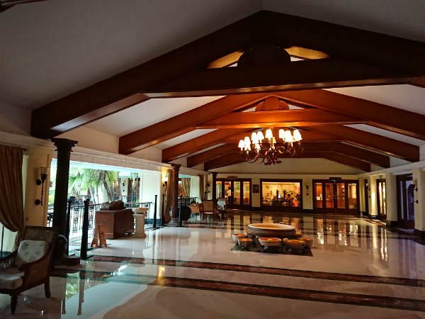 Vivid images with good detailing