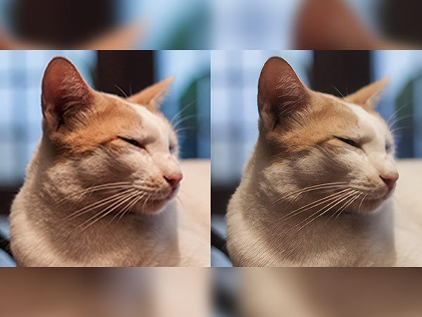 Enhance the low-res photos