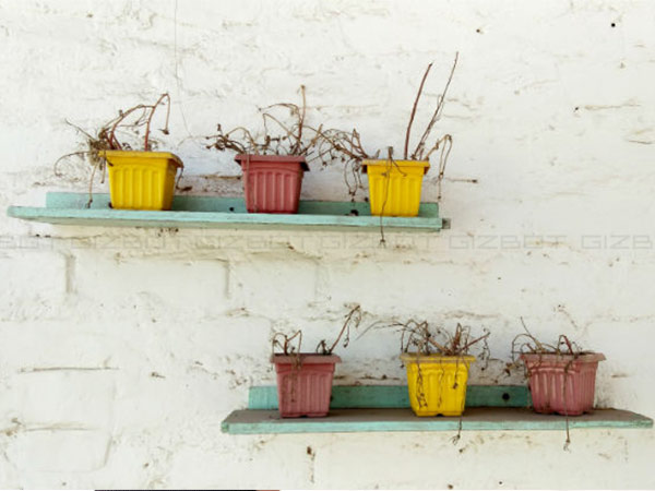 Rear Camera Performance