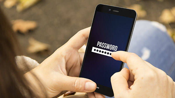 Step 4) Send the Password