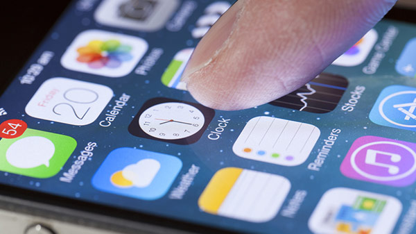 Address, phone number, and Email.