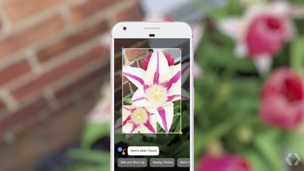 Google lens will now be able to identify objects in Real-Time Google lens will now be able to identify objects in Real-Time