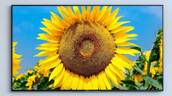 Sony two new Bravia  4K android TVs launched in India