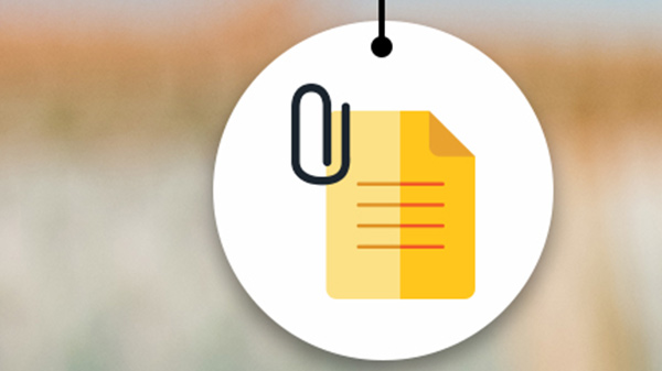 By file type/extension: