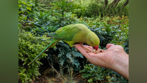 Camera samples are out