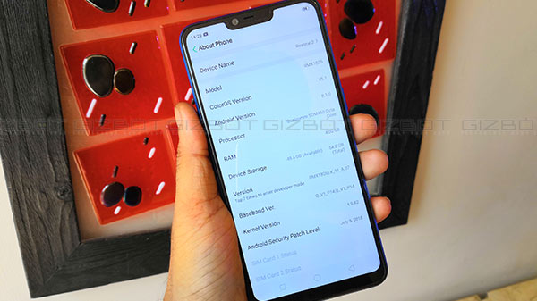 Camera: Dual-rear camera setup with an 8MP selfie shooter