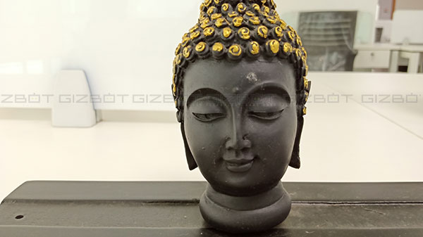 Dual-lens rear camera setup