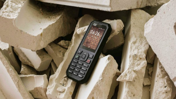 Unique features of Cat B35