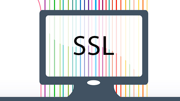 SSL certificates are expensive