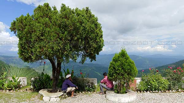 Wide-angle mode is brilliant for landscape and street photography