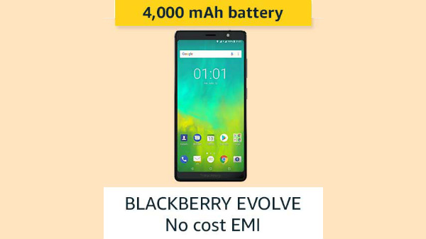 Blackberry Evolve