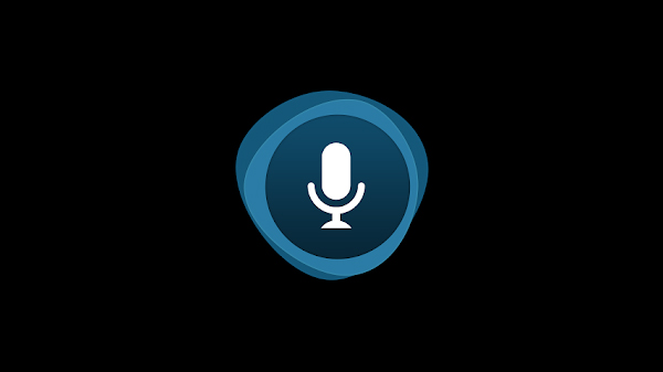 Dragon Mobile Assistant