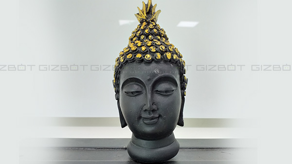 Camera: Average camera performance