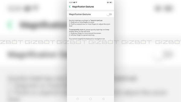 Magnification Gestures