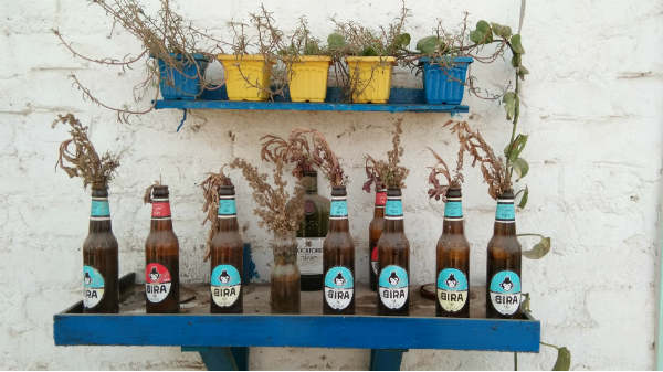 Rear camera performance in Daylight