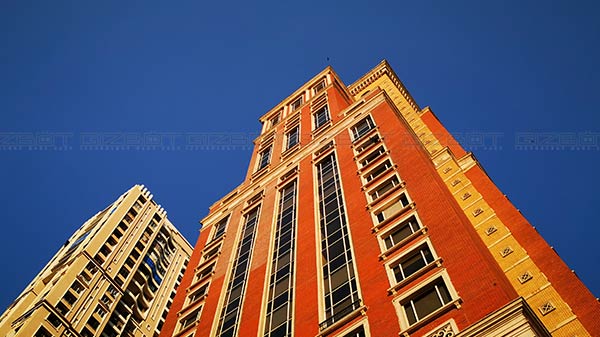 Excellent Daylight shots