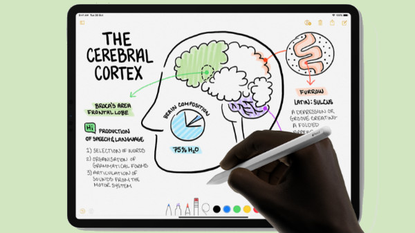 Received a bent Apple iPad Pro? Apple says there is nothing to worry Received a bent Apple iPad Pro? Apple says there is nothing to worry
